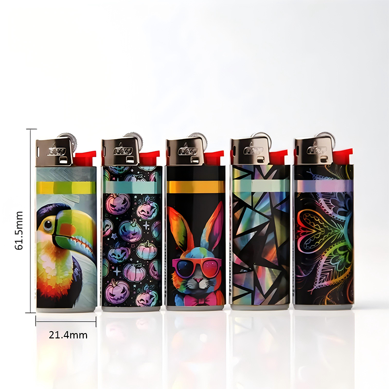 Mini Pocket Plastic Gas Lighter Flint Disposable Wholesale Smoking Accessories